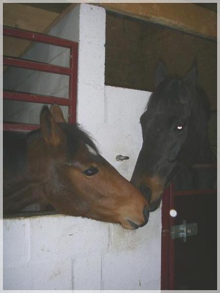 Victoria & Winston