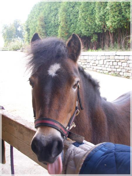 Septembre 2007