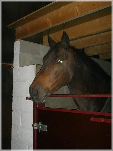 Tyson